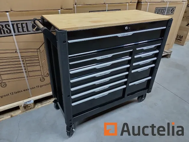 Gereedschapswagen xxxl "special jumbo edition" eversteel - afbeelding 20 van  22