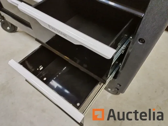 Gereedschapswagen xxxl "special jumbo edition" eversteel - afbeelding 21 van  22