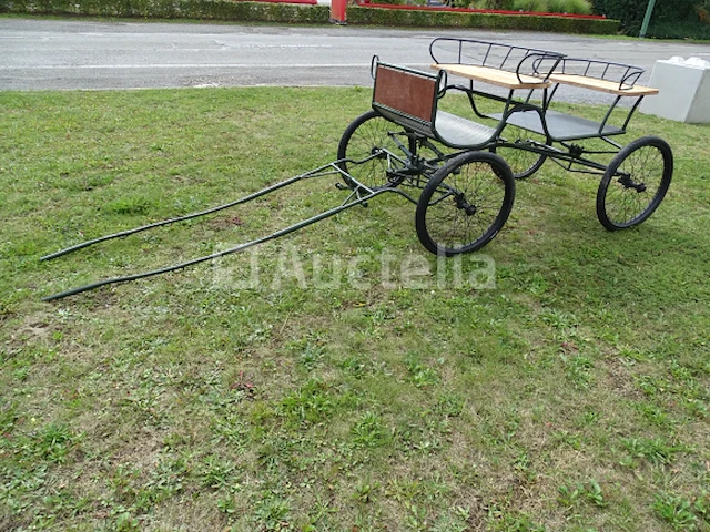 Gerestaureerde paardenkoets (metallic, gepoedercoat) - afbeelding 1 van  21