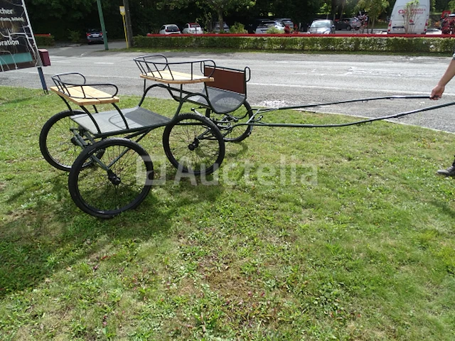 Gerestaureerde paardenkoets (metallic, gepoedercoat) - afbeelding 14 van  21