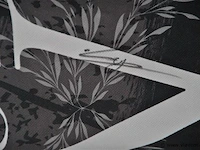 Gesigneerd darts shirt + flights, carlo van peer - afbeelding 3 van  5