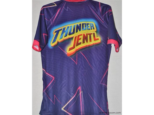 Gesigneerd darts shirt jentl fransen - afbeelding 3 van  3