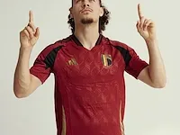 Gesigneerd rode duivels shirt - arthur theate - afbeelding 7 van  11