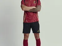 Gesigneerd rode duivels shirt - axel witsel - afbeelding 1 van  9