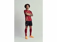 Gesigneerd rode duivels shirt - axel witsel - afbeelding 2 van  9