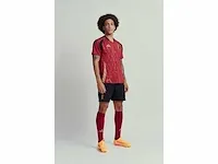 Gesigneerd rode duivels shirt - axel witsel - afbeelding 3 van  9