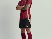 Gesigneerd rode duivels shirt - axel witsel - afbeelding 4 van  9