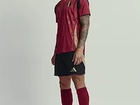 Gesigneerd rode duivels shirt - axel witsel - afbeelding 5 van  9