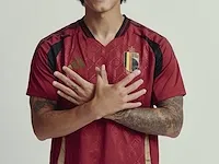 Gesigneerd rode duivels shirt - axel witsel - afbeelding 6 van  9