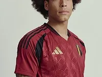 Gesigneerd rode duivels shirt - axel witsel - afbeelding 7 van  9
