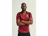 Gesigneerd rode duivels shirt - dodi lukebakio - afbeelding 6 van  8