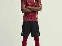 Gesigneerd rode duivels shirt - dodi lukebakio - afbeelding 7 van  8