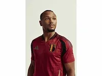 Gesigneerd rode duivels shirt - loïs openda - afbeelding 4 van  7