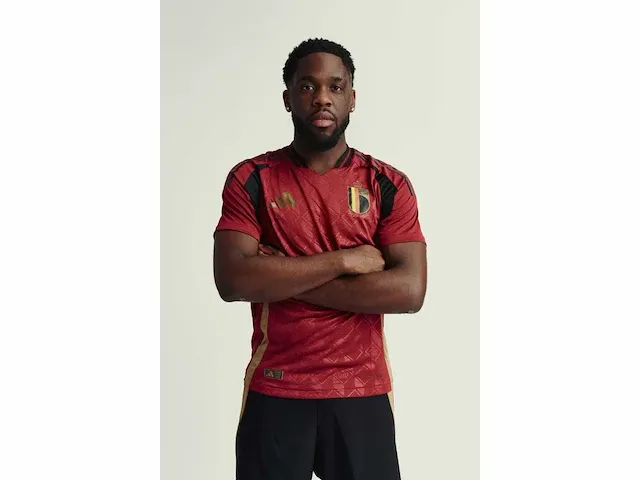 Gesigneerd rode duivels shirt - orel mangala - afbeelding 1 van  3