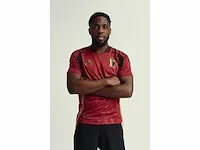 Gesigneerd rode duivels shirt - orel mangala - afbeelding 1 van  3
