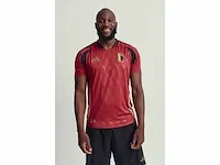 Gesigneerd rode duivels shirt - romelu lukaku - afbeelding 5 van  18