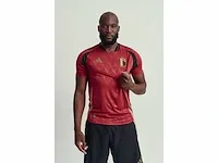 Gesigneerd rode duivels shirt - romelu lukaku - afbeelding 12 van  18