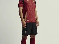 Gesigneerd rode duivels shirt - youri tielemans - afbeelding 2 van  12