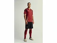 Gesigneerd rode duivels shirt - youri tielemans - afbeelding 3 van  12