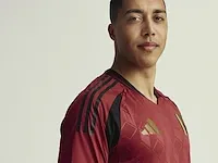 Gesigneerd rode duivels shirt - youri tielemans - afbeelding 7 van  12