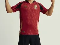 Gesigneerd rode duivels shirt - youri tielemans - afbeelding 8 van  12