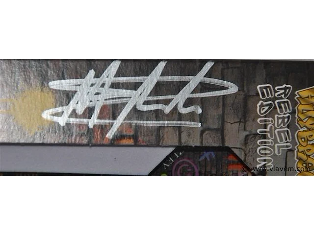 Gesigneerde set pijlen ronny huybrechts - afbeelding 2 van  2