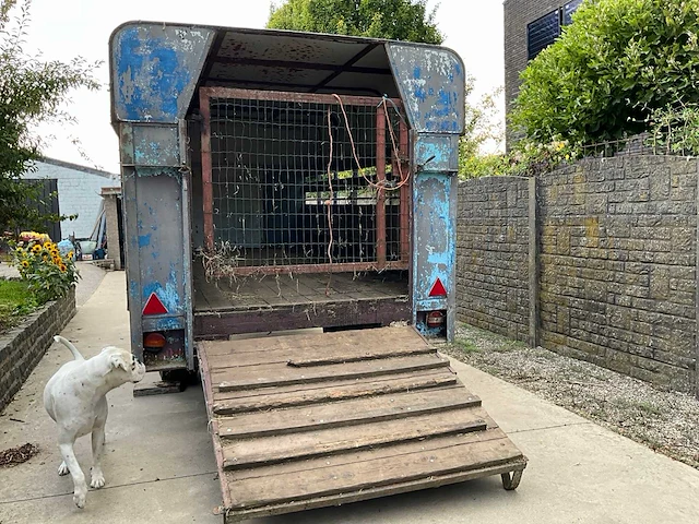 Gesloten vee-/dierenaanhangwagen - afbeelding 8 van  11