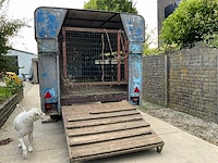 Gesloten vee-/dierenaanhangwagen - afbeelding 8 van  11