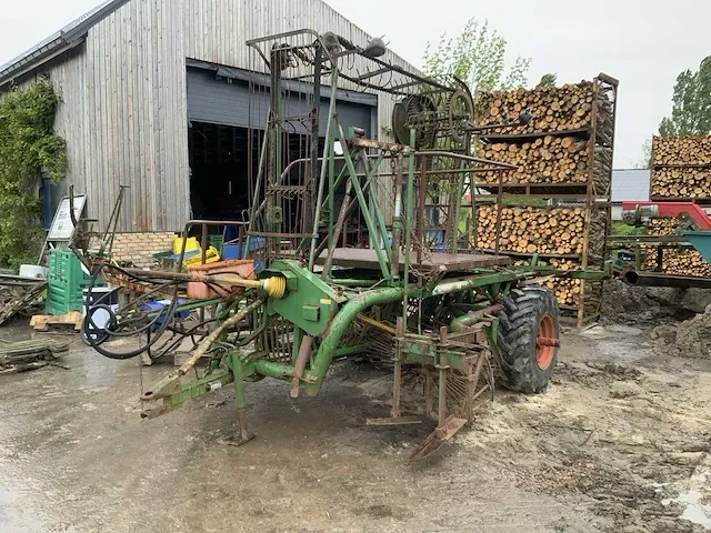 Getrokken knolselder rooier - afbeelding 1 van  8