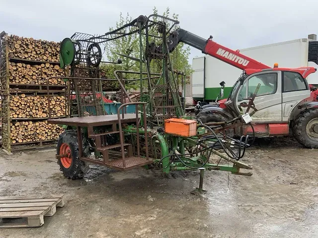 Getrokken knolselder rooier - afbeelding 3 van  8