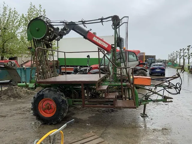 Getrokken knolselder rooier - afbeelding 4 van  8