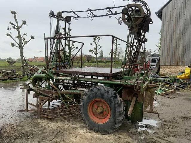 Getrokken knolselder rooier - afbeelding 6 van  8