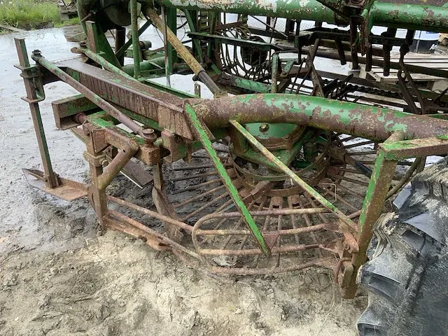 Getrokken knolselder rooier - afbeelding 7 van  8