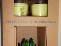 Geurkaarsen met kunstplant senteur fleurs de printemps - afbeelding 1 van  3