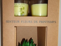 Geurkaarsen met kunstplant senteur fleurs de printemps - afbeelding 1 van  3