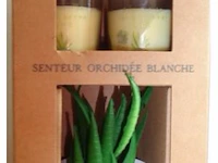 Geurkaarsen met kunstplant senteur orchidée blanche - afbeelding 2 van  3