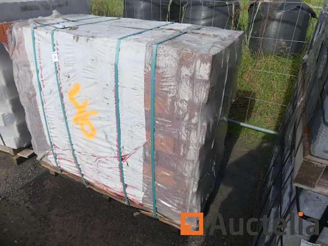 Gevelstenen wieneberger basiapaepesteen - afbeelding 3 van  4