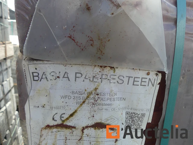 Gevelstenen wieneberger basiapaepesteen - afbeelding 4 van  4
