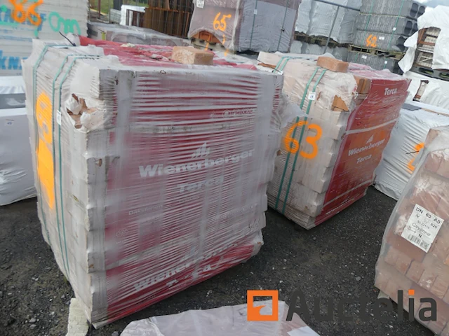 Gevelstenen wienerberger patrimonia appelbloesem - afbeelding 3 van  4
