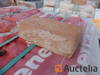 Gevelstenen wienerberger patrimonia appelbloesem - afbeelding 4 van  4
