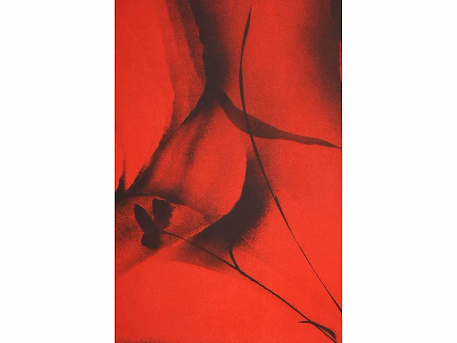 Ghislain dussart - litho - afbeelding 5 van  5