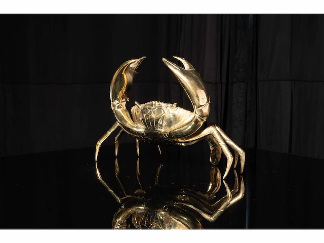 Giant crabe op brons gepolijst - 36/18/23 cm - limited edition - certificaat - afbeelding 2 van  7