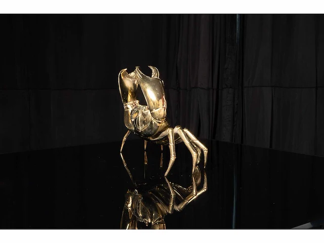 Giant crabe op brons gepolijst - 36/18/23 cm - limited edition - certificaat - afbeelding 3 van  7