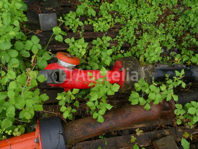 Gietijzeren goot - afbeelding 14 van  16