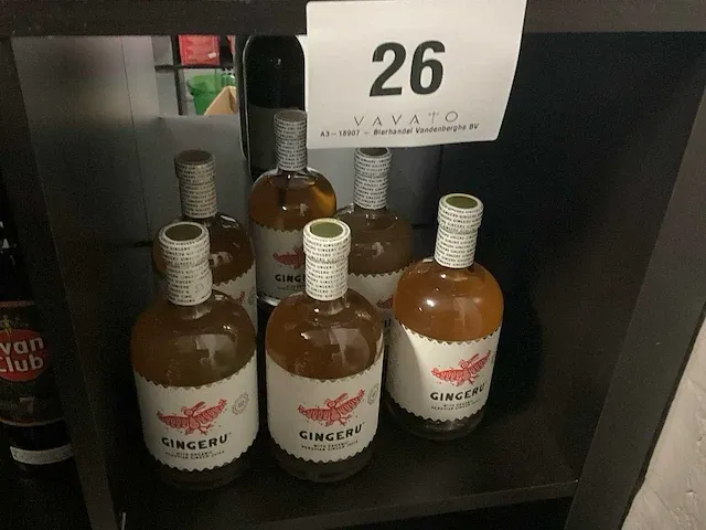 Gingeru gin (6x) - afbeelding 2 van  2
