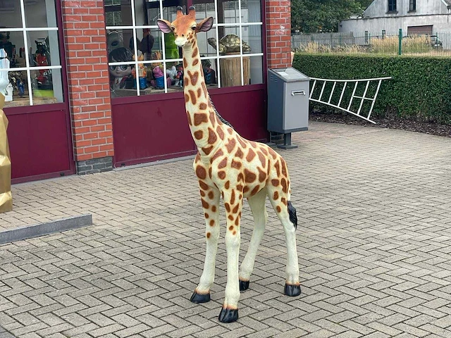 Giraf naturel h187cm - afbeelding 1 van  2