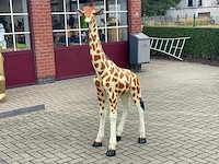 Giraf naturel h187cm - afbeelding 1 van  2