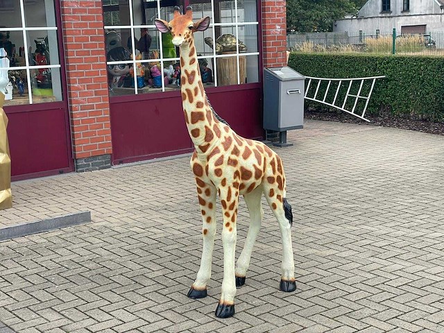 Giraf naturel h187cm - afbeelding 1 van  3
