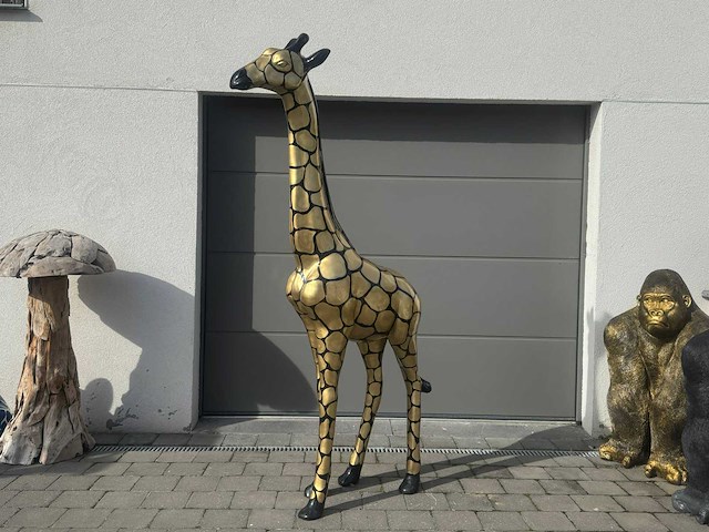 Giraf special color - afbeelding 1 van  1