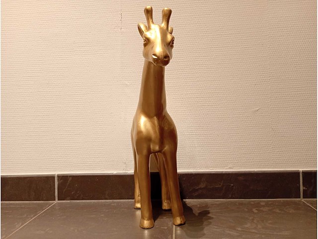 Giraf - afbeelding 3 van  3